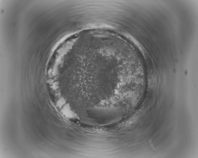 X0000087520975200705112002