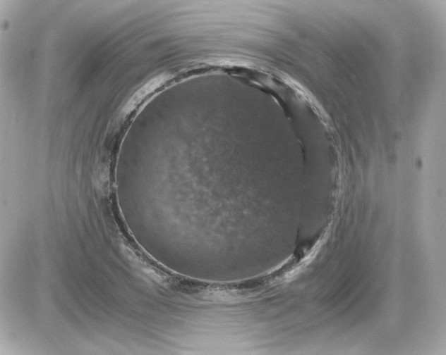 X0000087520977200705112002