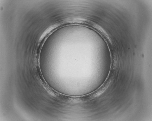 X0000087520978200705112002