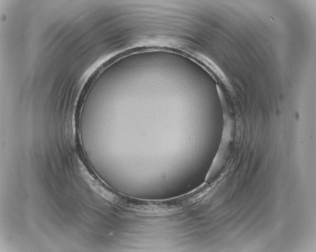 X0000087520980200705112002