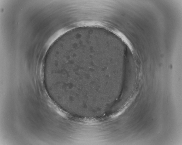 X0000087520983200705112002