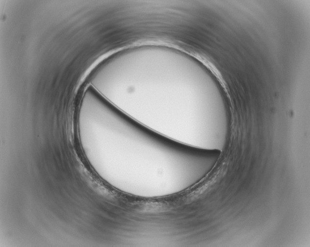 X0000087520984200705112002