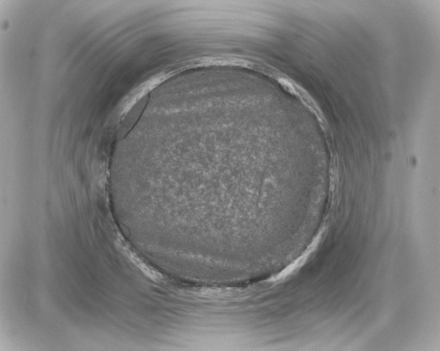 X0000087520985200705112002