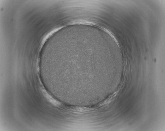 X0000087520987200705112002