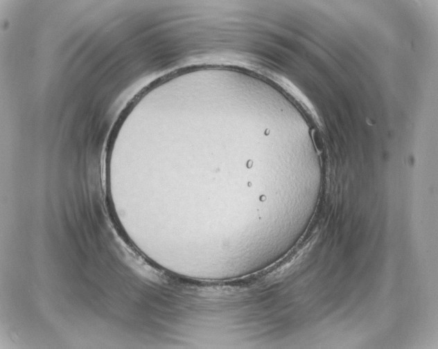 X0000087520988200705112002