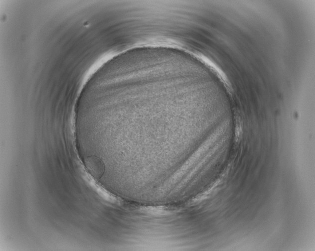 X0000087520990200705112002