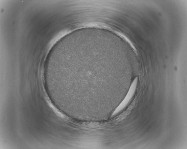 X0000087520991200705112002