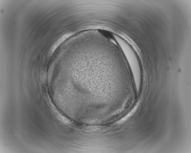 X0000087520993200705112002