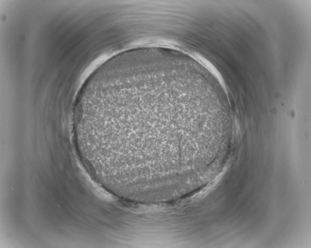 X0000087520997200705112002