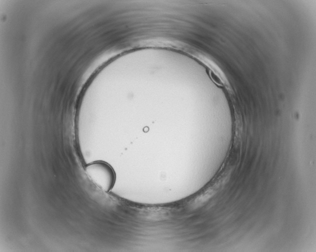 X0000087521000200705112002