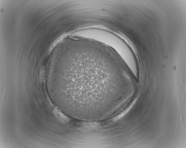 X0000087521001200705112002