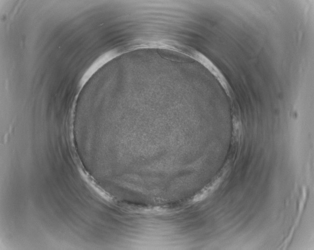 X0000087521002200705112001