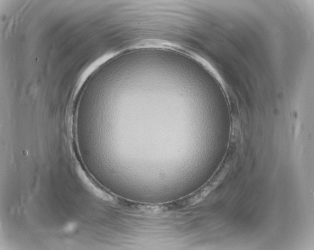 X0000087521003200705112001