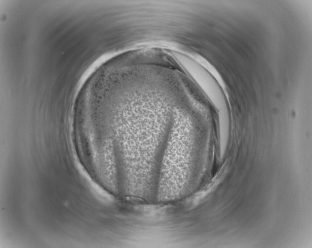 X0000087521005200705112001