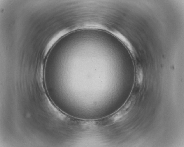 X0000087521006200705112001