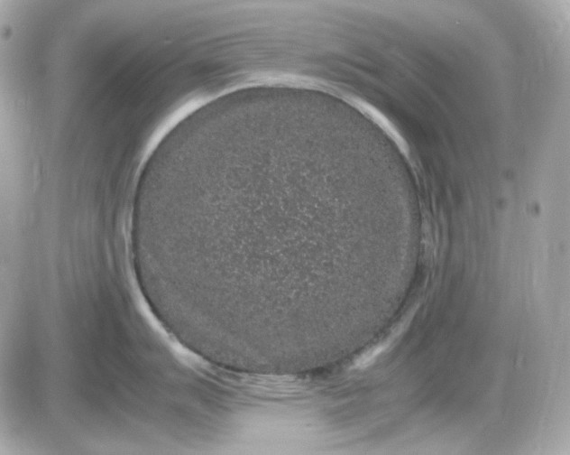 X0000087521007200705112001