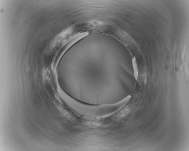 X0000087521010200705112001