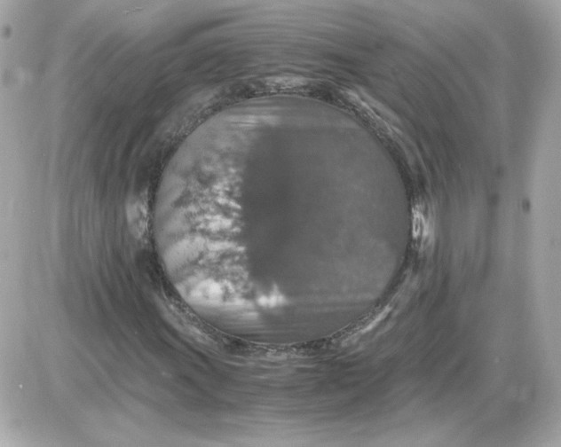 X0000087521011200705112001