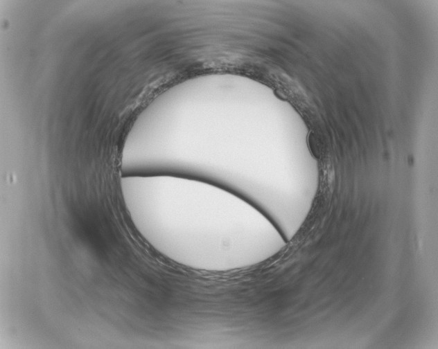 X0000087521012200705112001