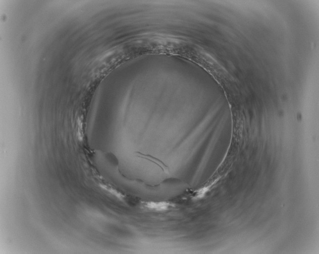 X0000087521013200705112001