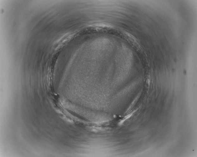 X0000087521014200705112001