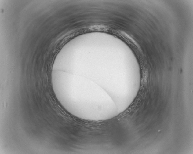 X0000087521015200705112001