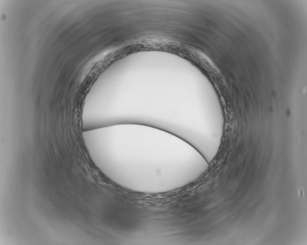 X0000087521016200705112001