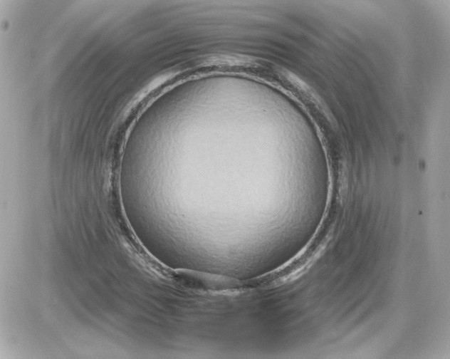 X0000087521017200705112001