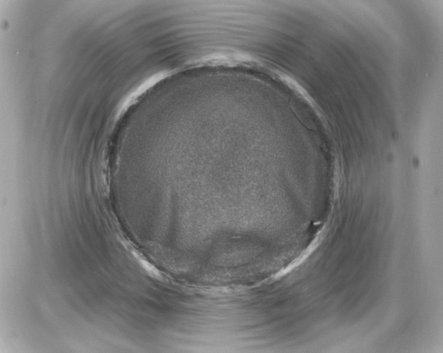 X0000087521018200705112001