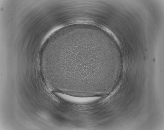 X0000087521019200705112001