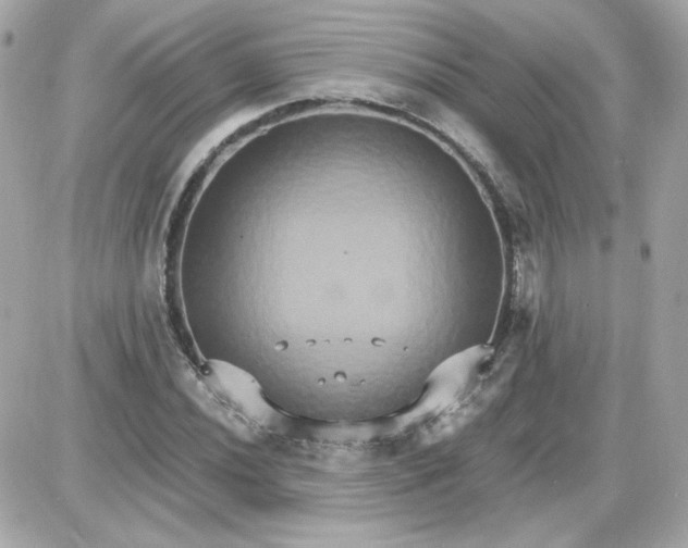 X0000087521020200705112001