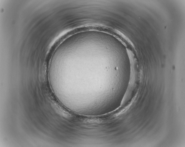 X0000087521021200705112001