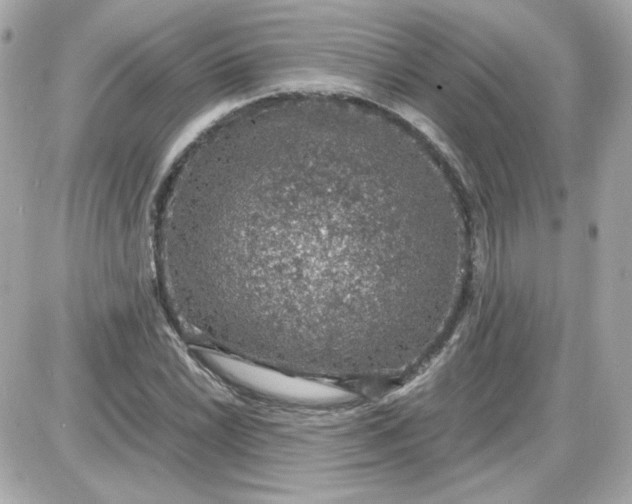 X0000087521022200705112001