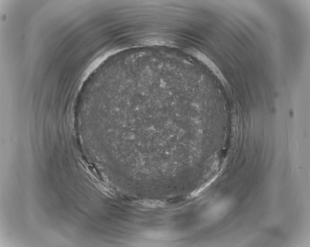 X0000087521023200705112001