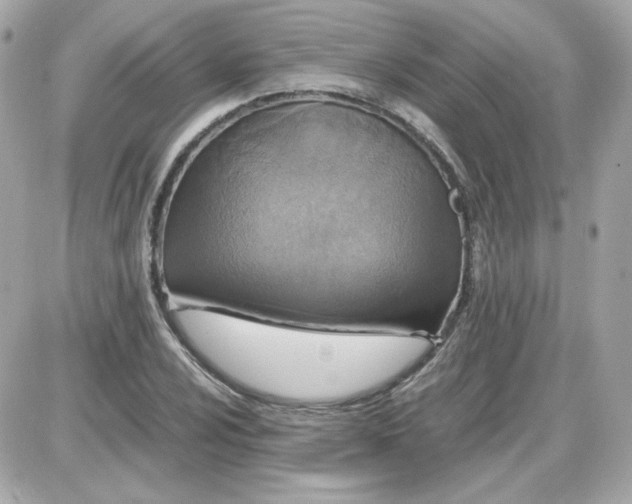 X0000087521024200705112001