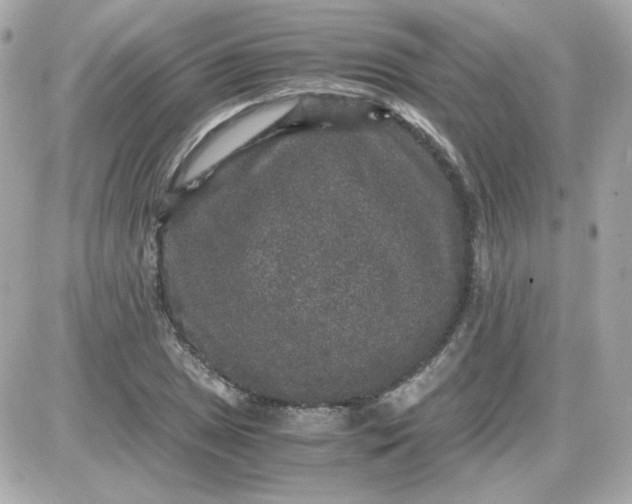 X0000087521025200705112001