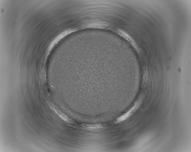 X0000087521027200705112001