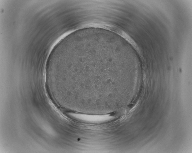 X0000087521028200705112001