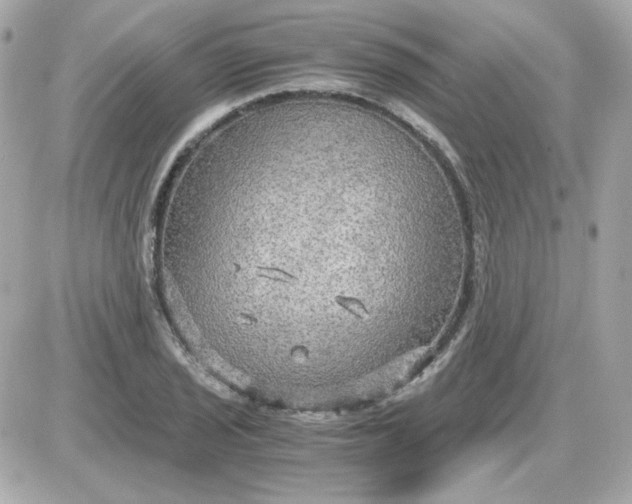 X0000087521029200705112001