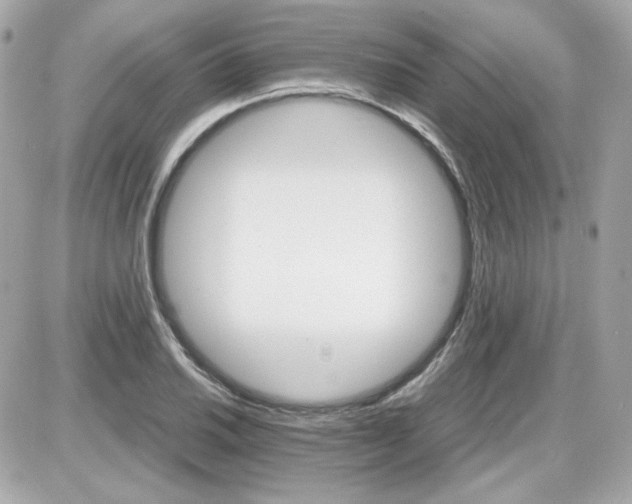 X0000087521030200705112001