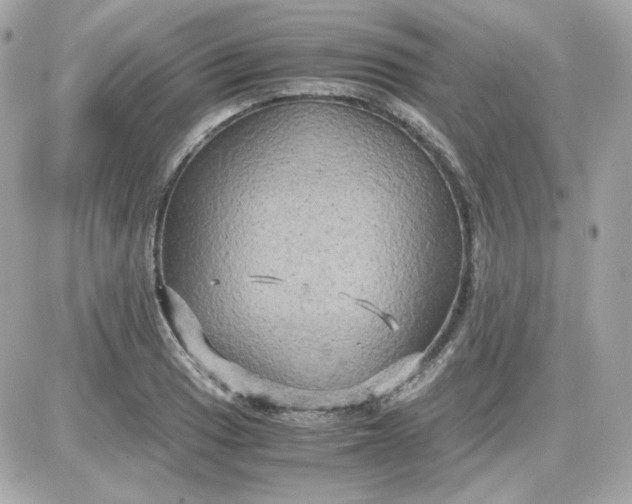 X0000087521033200705112001