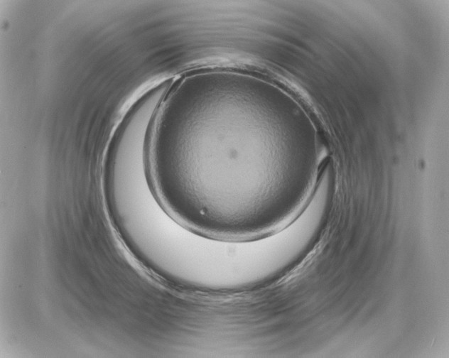 X0000087521034200705112001