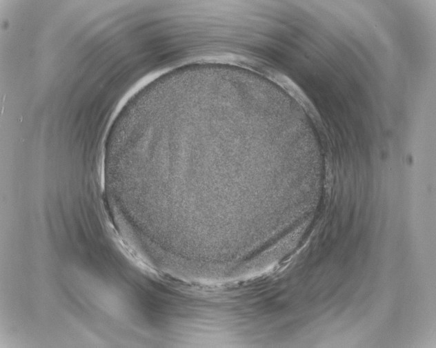 X0000087521036200705112001