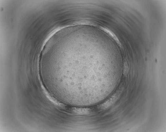 X0000087521039200705112001