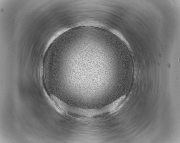 X0000087521040200705112001