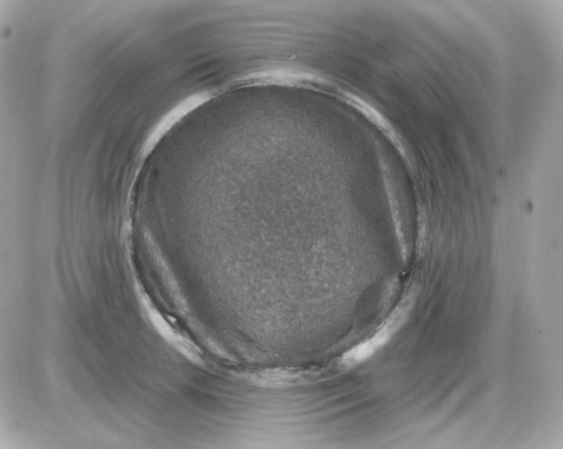 X0000087521042200705112001