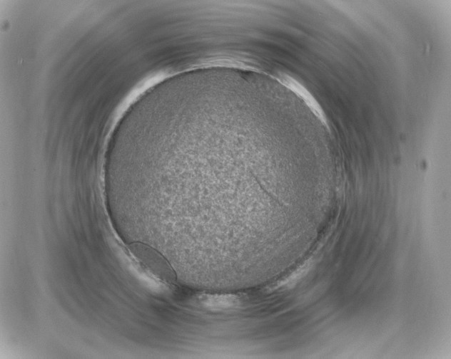 X0000087521043200705112001