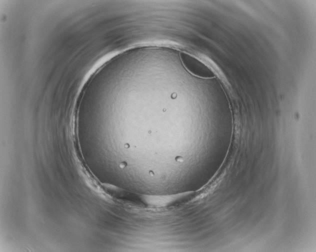 X0000087521044200705112001