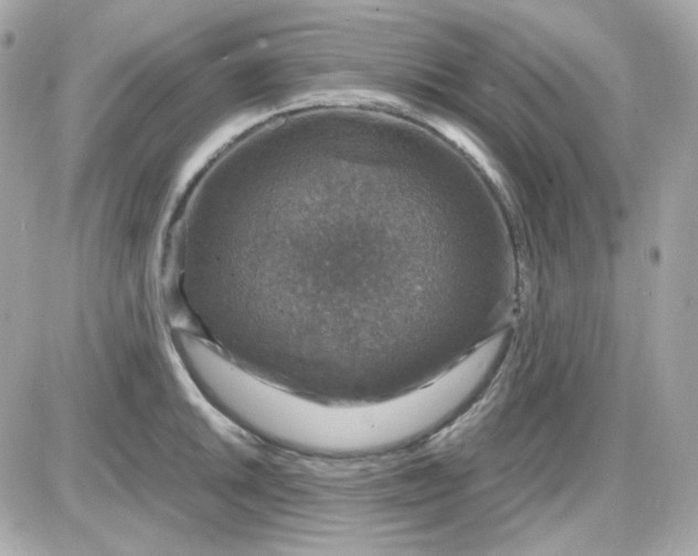 X0000087521046200705112001