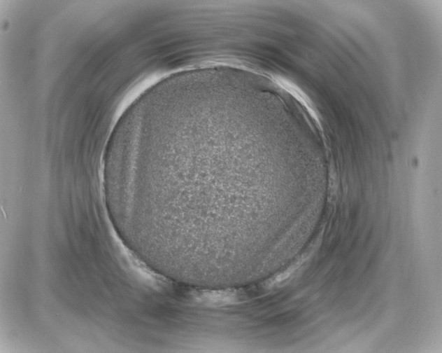 X0000087521047200705112001